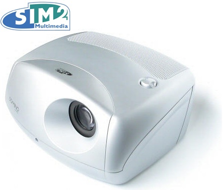 sim-2-domino.jpg