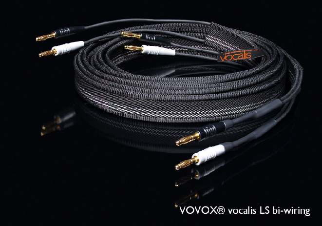 b_maxi_voc_bw_01.jpg
