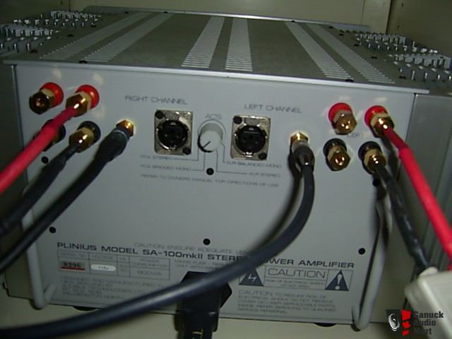 32086-plinus_sa100_mk2_stereophiles_class_a_power_amp_reduced_again_.jpg