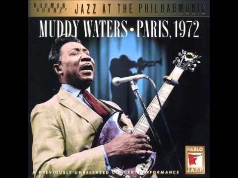 muddy waters paris.jpg