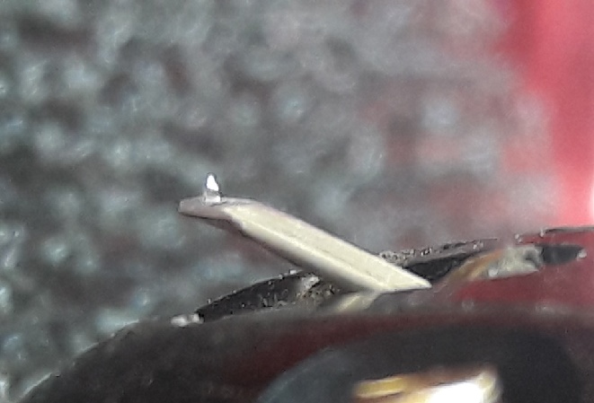 20180602_150138.jpg
