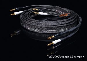 b_maxi_voc_bw_01-300x210.jpg