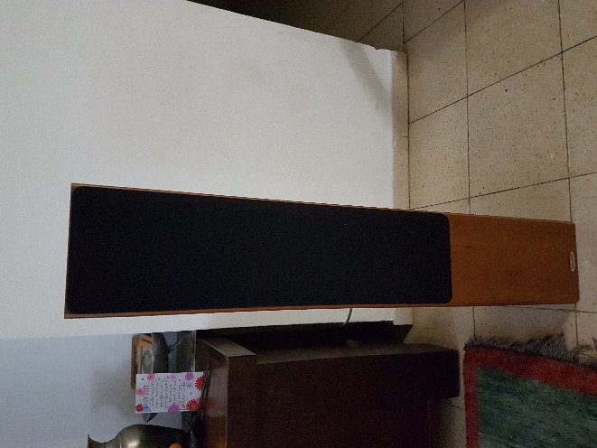 tannoy  r3.jpg