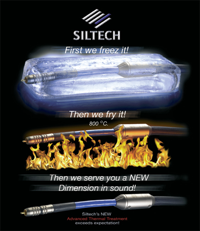 Siltech_100306.jpg