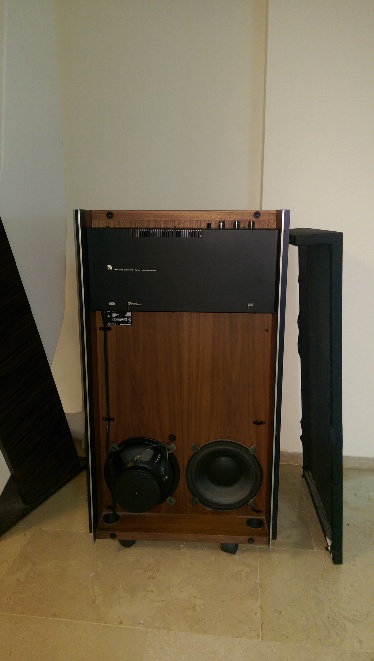 IMAG0084.jpg