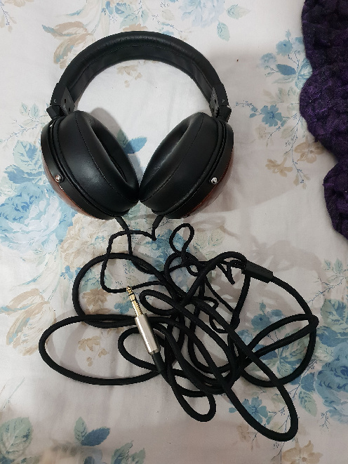 fostex01.jpg