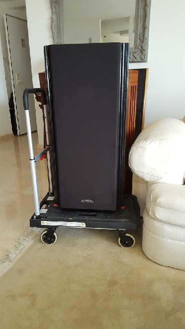 20190205_142449.jpg