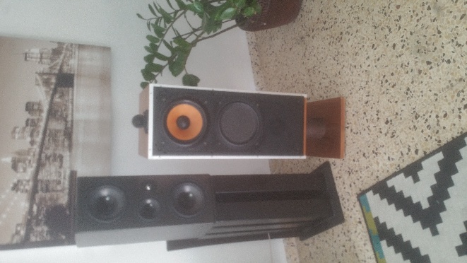 20190309_080216.jpg