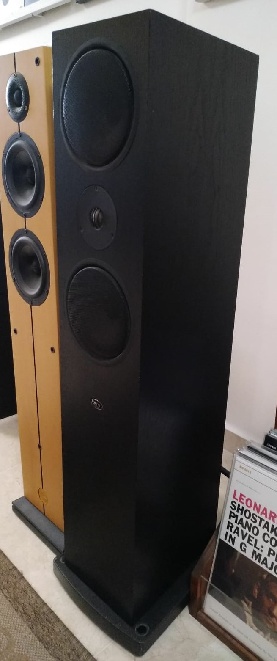 LINN 2.jpg