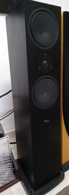 LINN  1.jpg