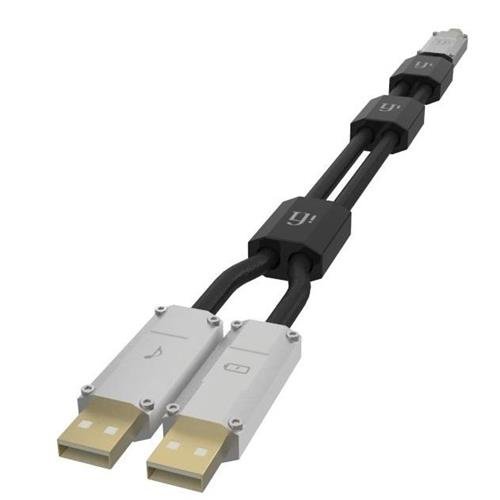 ifi cable.jpg
