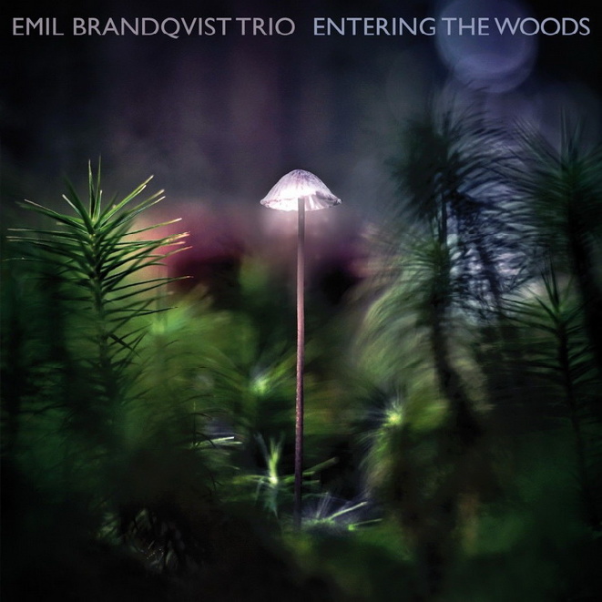 Cover (2).jpg