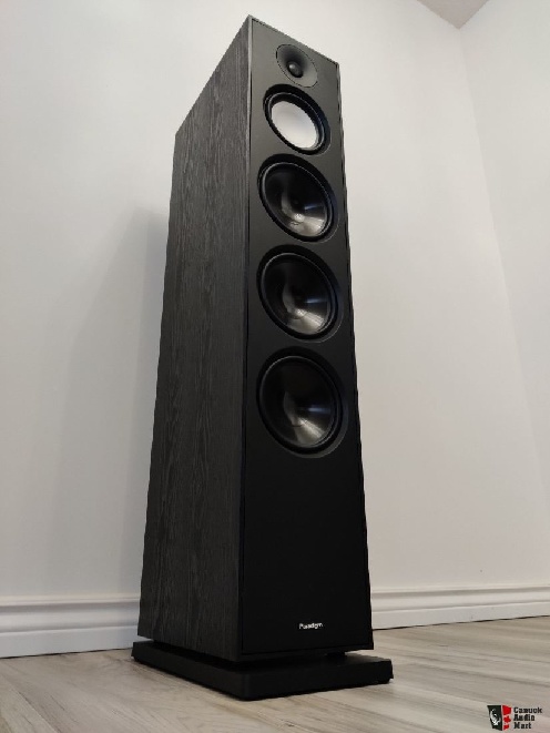 2505319-43c398f6-near-mint-paradigm-monitor-11-v7 (1).jpg