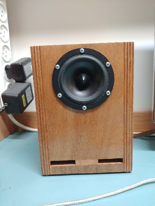 dayton_audio_rs100_build.jpg