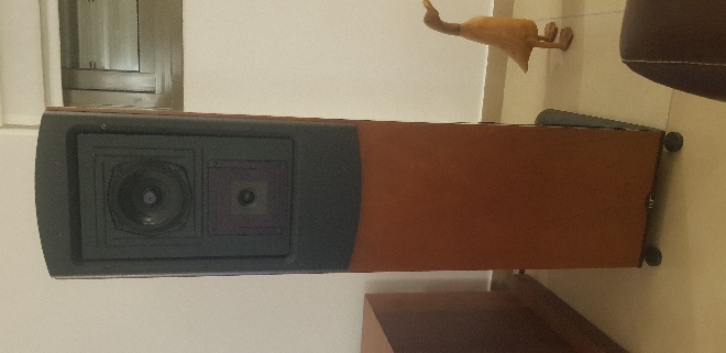20210812_235211.jpg