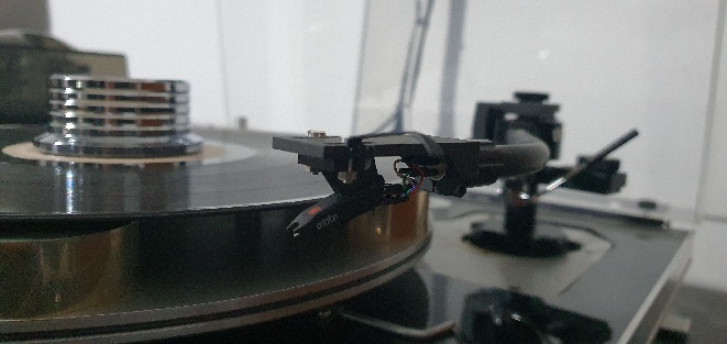 20230211_164807.jpg