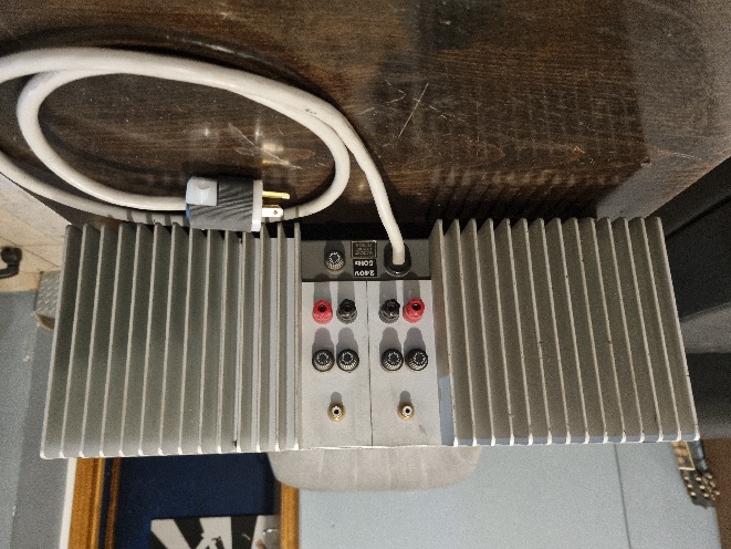 20230413_174303.jpeg