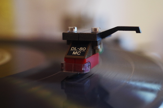 dp105.jpg