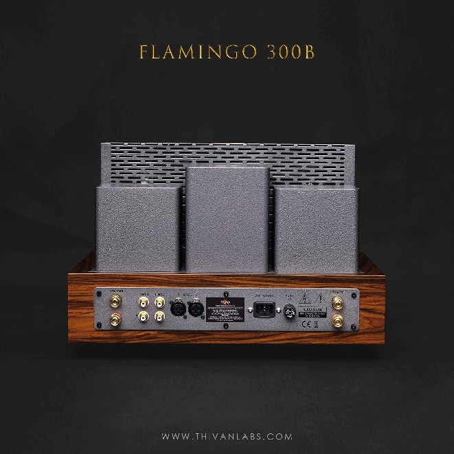 ThivanLabs New Generation - Flamingo 300B (3).jpg