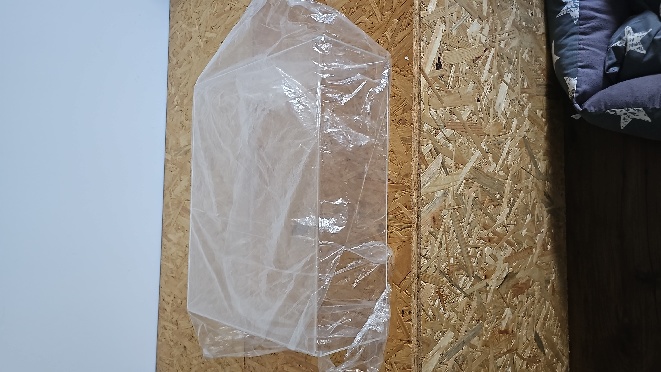 IMG-20230802-WA0003.jpeg