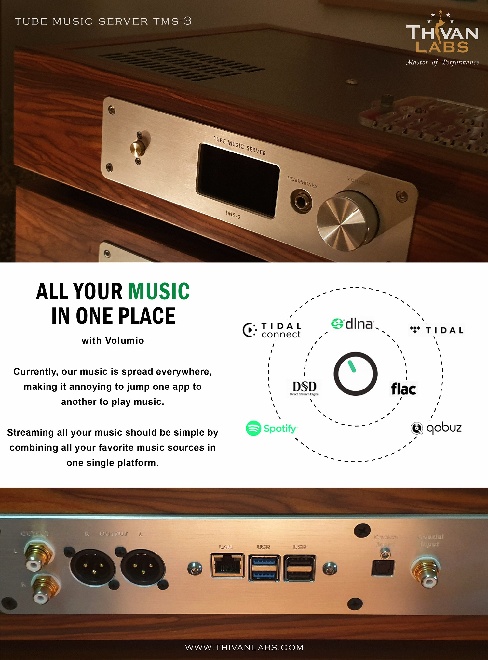 Tube Music Server TMS-3.jpg