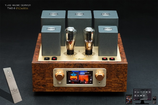 ThivanLabs-Tube-Music-Server-TMS-9-Premium-1 (1).jpg