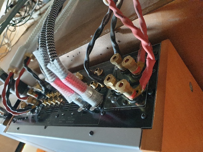 20230917_134112.jpg