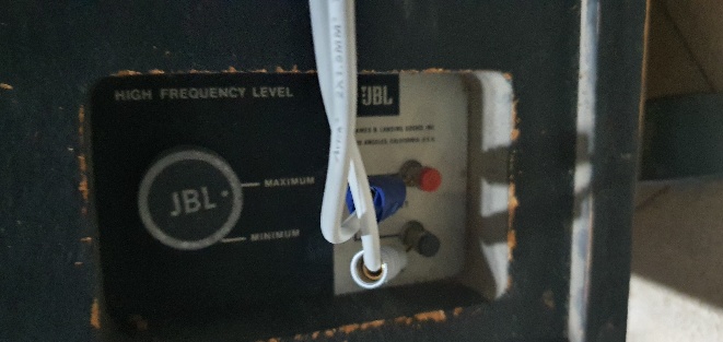 20230922_165931.jpg