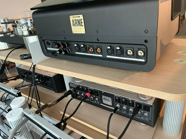 ARNE MK2 BACK.jpg