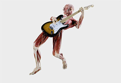 body2_g.jpg