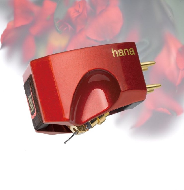 Hana+Umami+Red+Floral+BG.jpg
