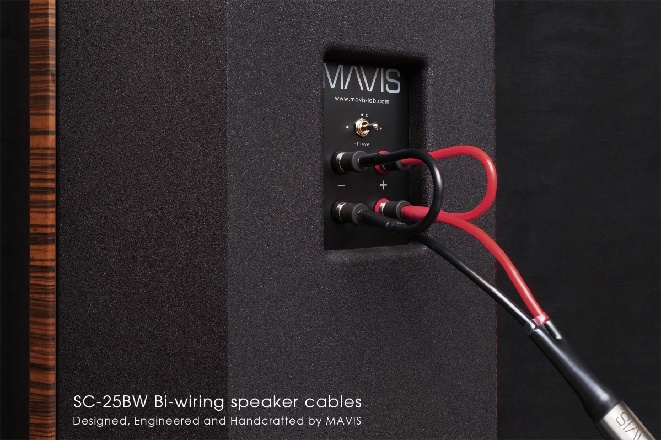 SC-25BW-Bi-wiring2.jpg