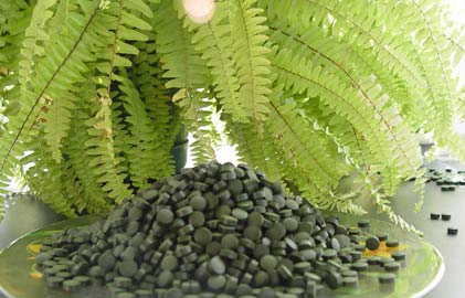 organic-spirulina-tablets.jpg