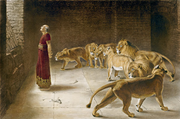 daniel-1.jpg