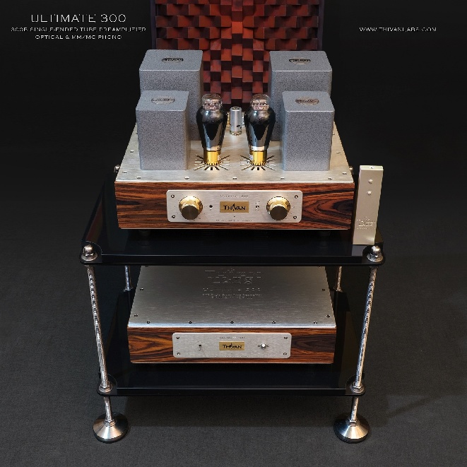 Ultimate 300 Tubepreamp 5404 squareD.jpg