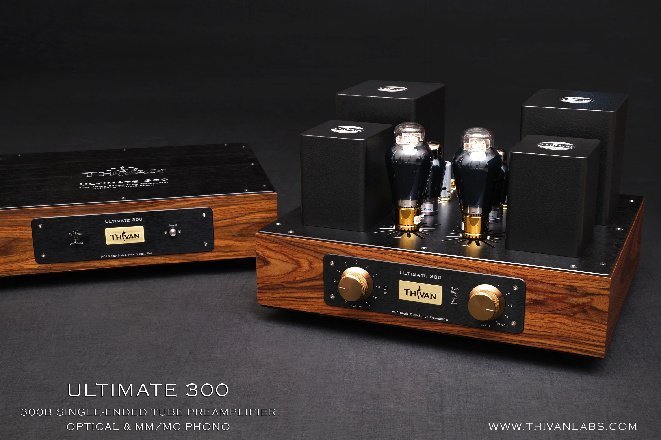BLACK Ultimate 300 SE Tube preamp Optical MMMC phono - Brass knob.jpg