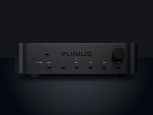 plinius 2.jpg