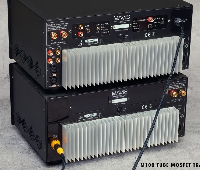 Mavis-MS4-M100-SkyDMMC-Back.jpg